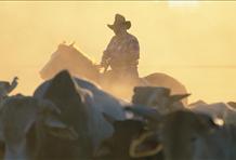 The Australia We Know And Love